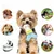 Pet Planet Chiots TeethingFun Set de 6 Jouets