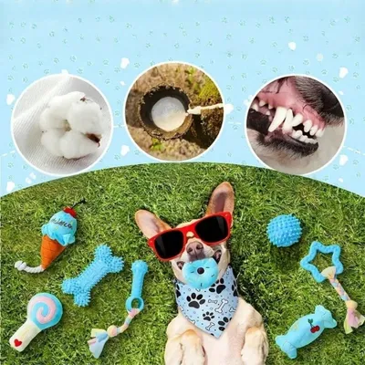 Pet Planet Chiens ToughPlay Set de 10 Jouets en TPR et Cordes de Peluche