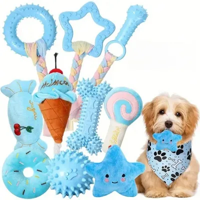 Pet Planet Chiens ToughPlay Set de 10 Jouets en TPR et Cordes de Peluche