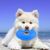 IntiMeg Jouets à mâcher pour chiens