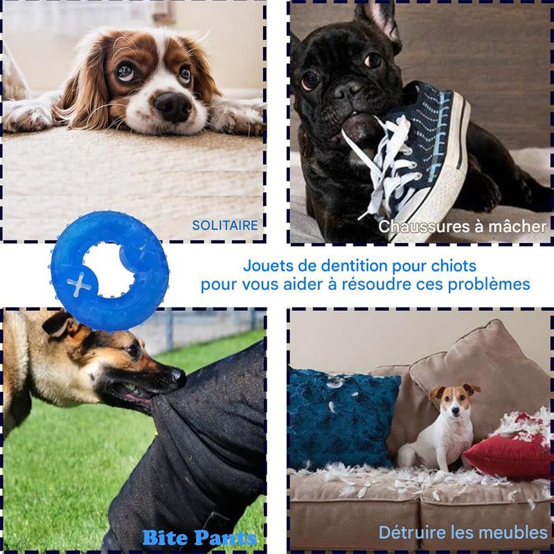 IntiMeg Jouets à mâcher pour chiens