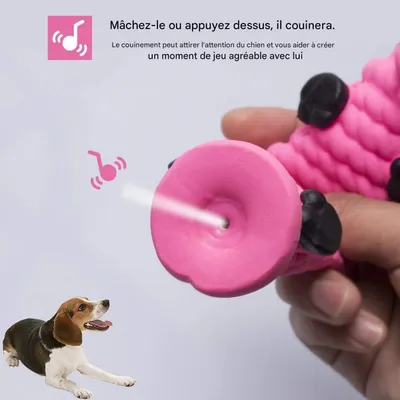 Petopia   Jouets pour chiens