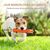 Petopia   Jouets pour chiens