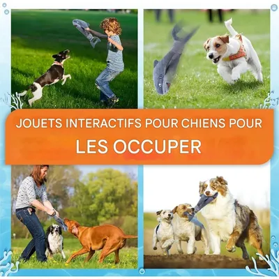 Pet Planet Chiens Jouet de Mâchage en Forme de Requin Gris