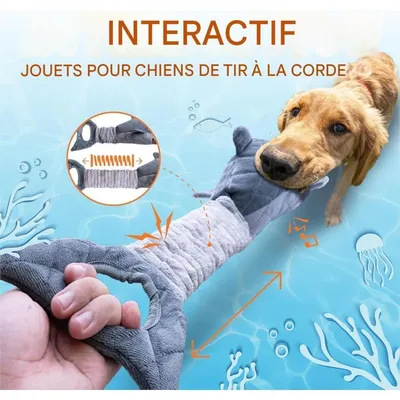Pet Planet Chiens Jouet de Mâchage en Forme de Requin Gris