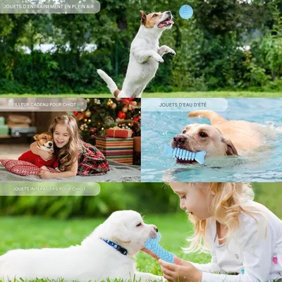 Pet Planet Chiots ChewDelight Set de 8 Jouets