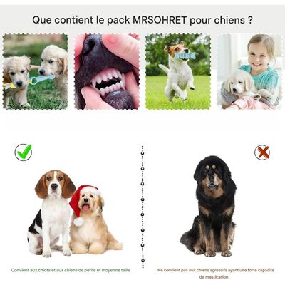 Pet Planet Chiots ChewDelight Set de 8 Jouets