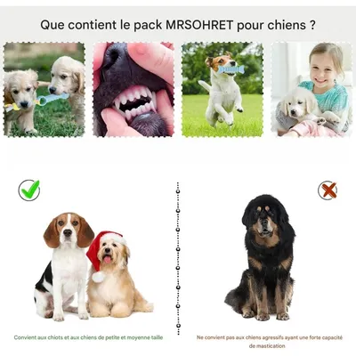 Pet Planet Chiots ChewDelight Set de 8 Jouets