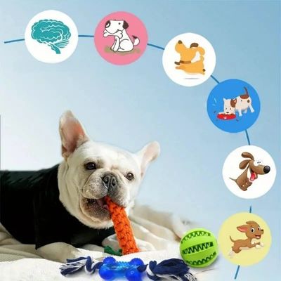Pet Planet Chiens Lot de 15 Jouets de Mastication