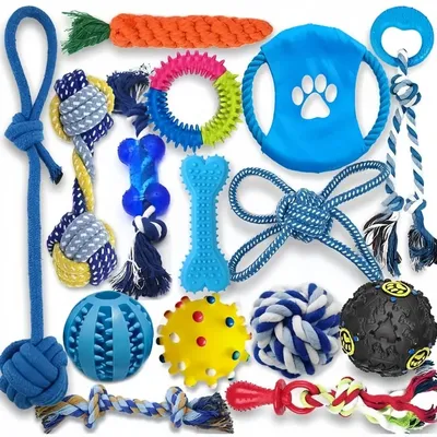 Pet Planet Chiens Lot de 15 Jouets de Mastication