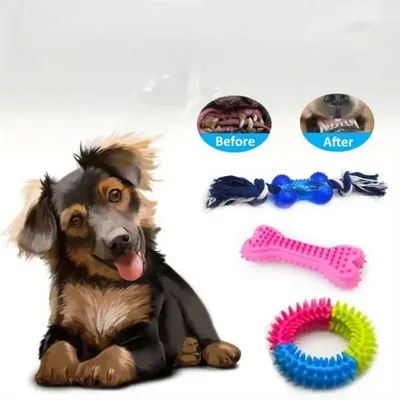 Pet Planet Chiens Lot de 15 Jouets de Mastication