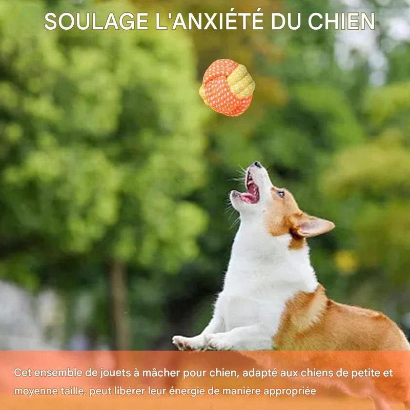 ZooVenture Indestructible Non Toxique Jouet Pour Chien 7Pcs