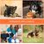 ZooVenture Indestructible Non Toxique Jouet Pour Chien 7Pcs