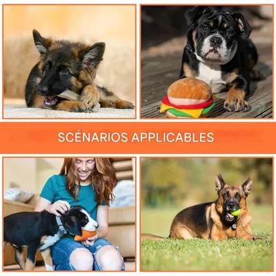 ZooVenture Indestructible Non Toxique Jouet Pour Chien 7Pcs