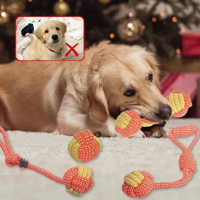 Pet Planet ZooVenture Indestructible Non Toxique Jouet Pour Chien 7Pcs