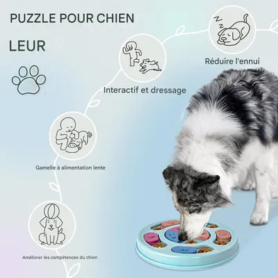 Pet Planet ZooVenture Stimule IQ Soulage Anxiété Jouet Puzzle Pour Chien