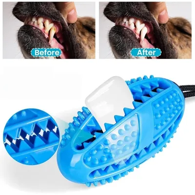 Pet Planet ZooVenture Indestructible Nettoie Dents Jouet Pour Chien