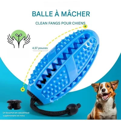 ZooVenture Indestructible Nettoie Dents Jouet Pour Chien