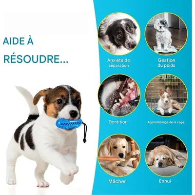 ZooVenture Indestructible Nettoie Dents Jouet Pour Chien