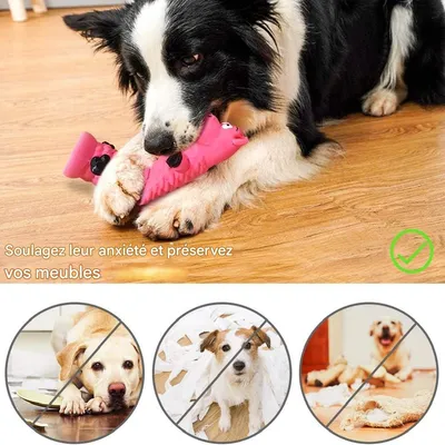 Petopia   Jouets pour chiens