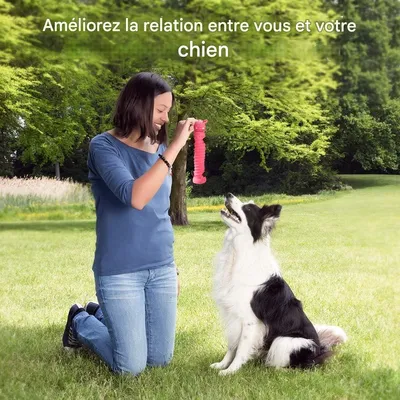 Petopia   Jouets pour chiens
