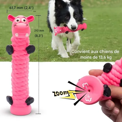 Petopia   Jouets pour chiens