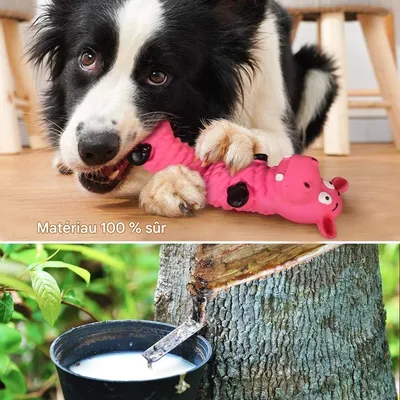 Petopia   Jouets pour chiens