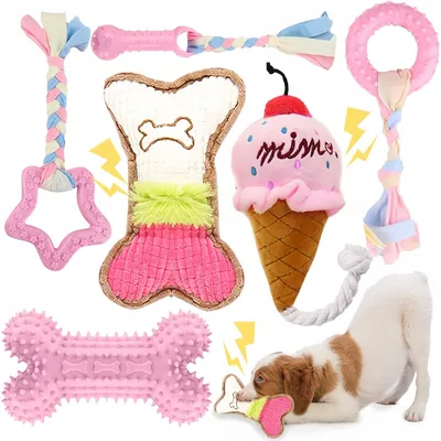 Pet Planet Chiots TeethingFun Set de 6 Jouets