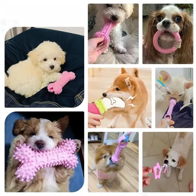Pet Planet Chiots TeethingFun Set de 6 Jouets