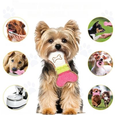 Pet Planet Chiots TeethingFun Set de 6 Jouets