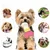 Pet Planet Chiots TeethingFun Set de 6 Jouets