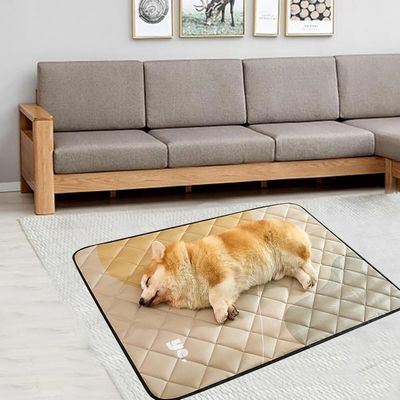 Petopia Tapis de couchage anti - urine pour chien