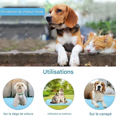 FurryFusion Tapis rafraîchissant lavable pour chats et chiens