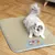 Petopia Tapis rafraîchissant pour chiens et chats