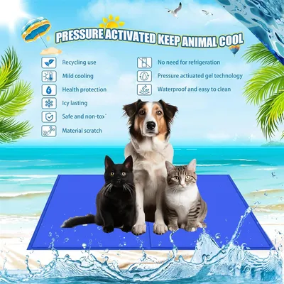 IntiMeg Tapis de refroidissement pour chien et chat