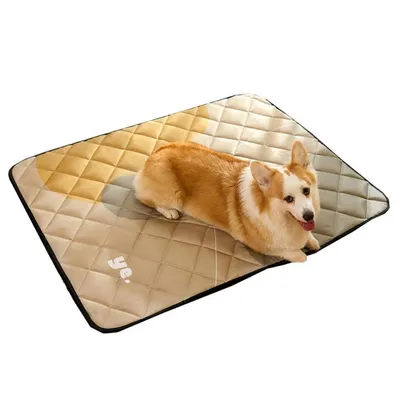 Petopia Tapis de couchage anti - urine pour chien