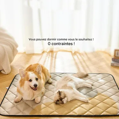 Petopia Tapis de couchage anti - urine pour chien