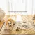 Petopia Tapis de couchage anti - urine pour chien