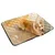 Petopia Tapis de couchage anti - urine pour chien