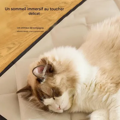 Petopia Tapis de couchage anti - urine pour chien