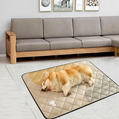 Petopia Tapis de couchage anti - urine pour chien