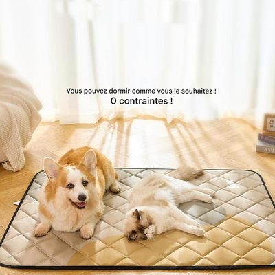 Petopia Tapis de couchage anti - urine pour chien