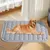 Pet Planet Tapis de lit rafraîchissant pour chien et chat