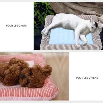 IntiMeg Lit de refroidissement pour chien et chat