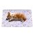 Petopia Tapis rafraîchissant pour animaux
