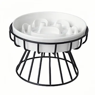 IntiMeg Gamelle surélevée en céramique pour chat et petit chien