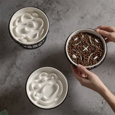 IntiMeg Gamelle surélevée en céramique pour chat et petit chien