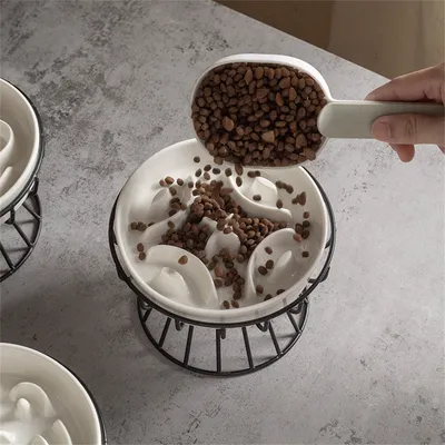 IntiMeg Gamelle surélevée en céramique pour chat et petit chien