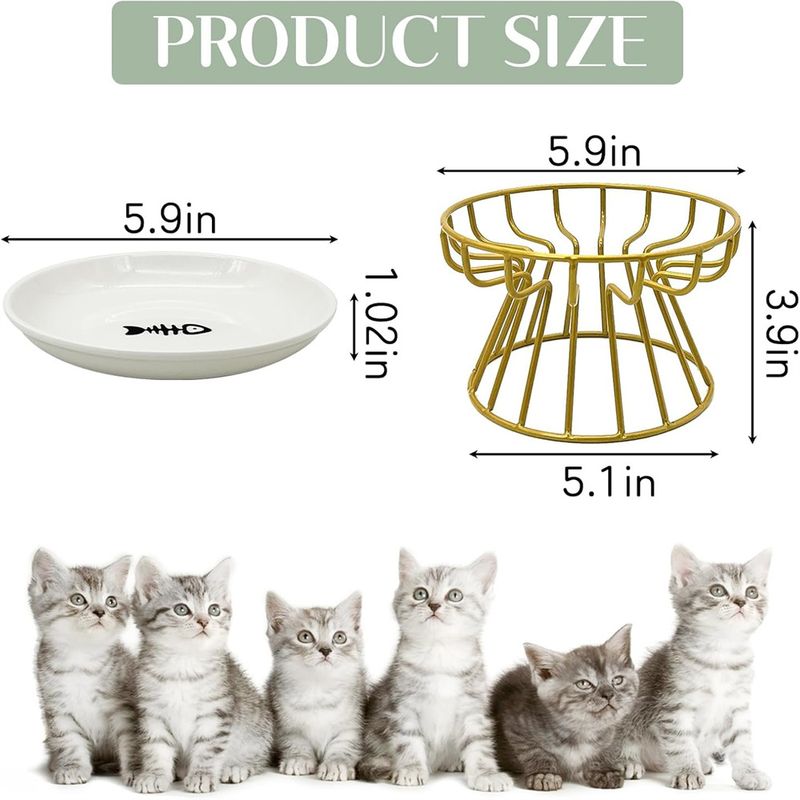 IntiMeg Gamelle en céramique surélevée pour chat