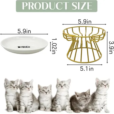 IntiMeg Gamelle en céramique surélevée pour chat